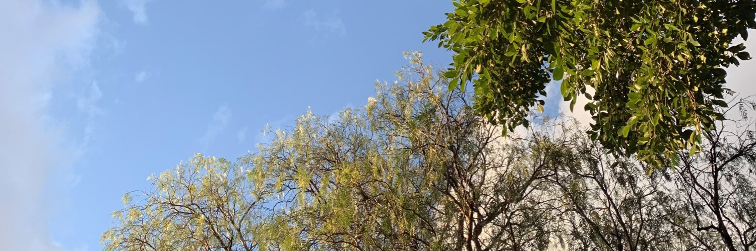 GomezLuisaM's profile banner image