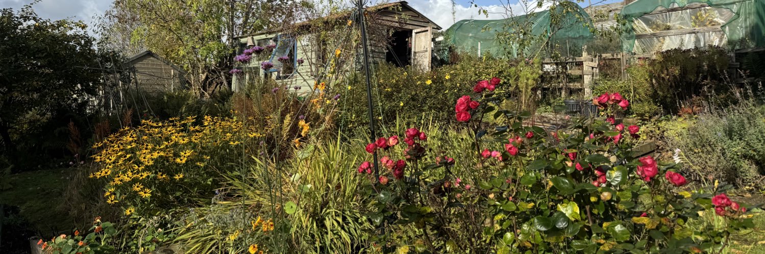 Heather Leigh banner