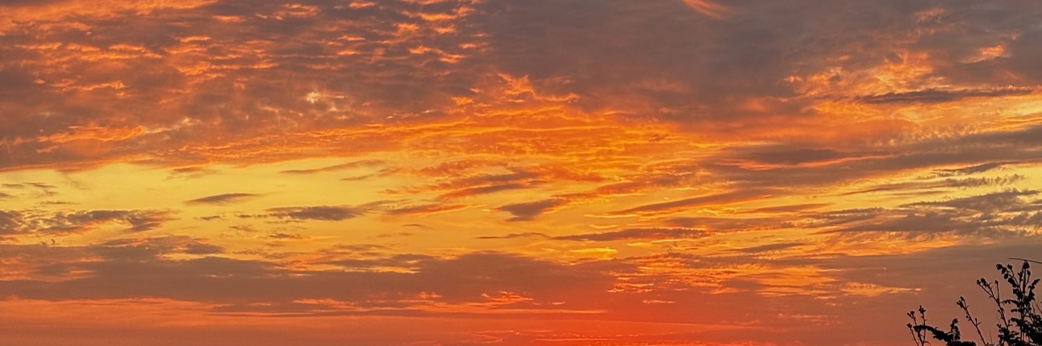 margot_grt's profile banner image