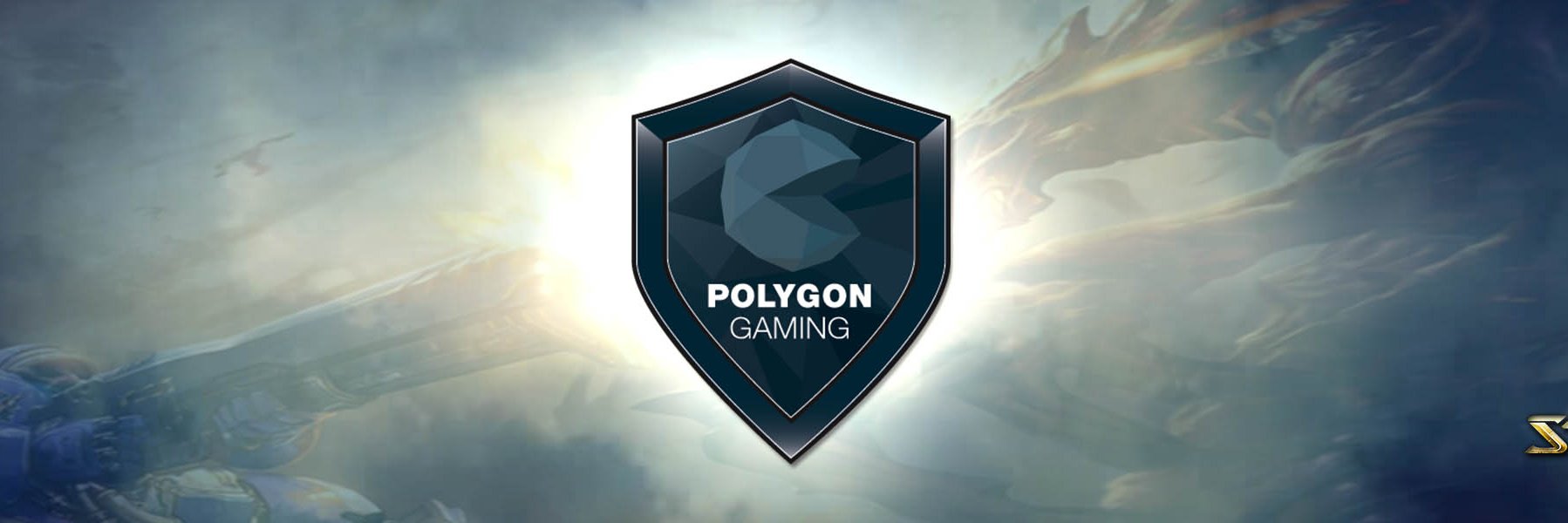 Polygon Gaming banner