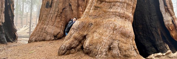 richtoscano Profile Banner