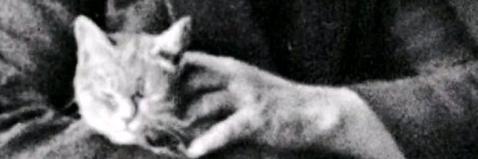 Geerantt's profile banner image