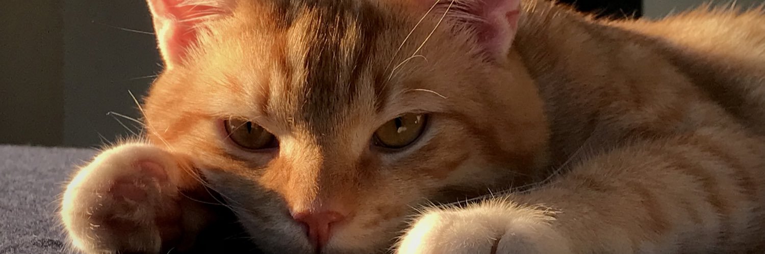 bae_arthur's profile banner image