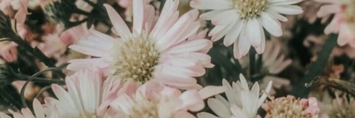 nazmiwhyarm's profile banner image