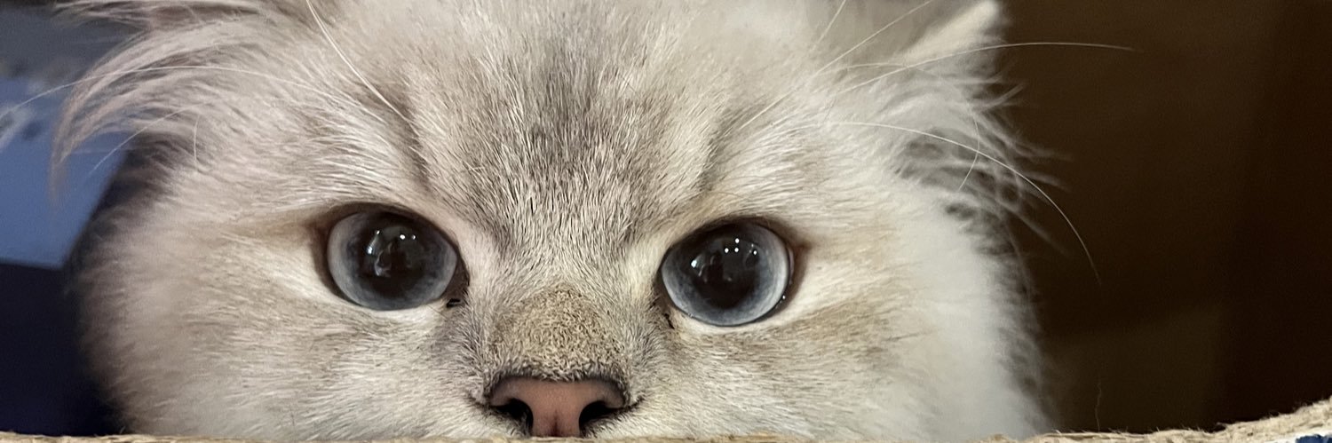 ezgiierol's profile banner image