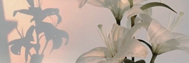 moremvrubi's profile banner image