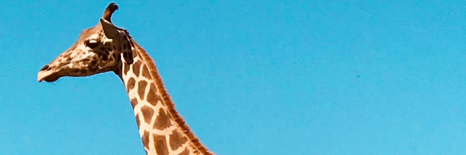 AaronBukta's profile banner image