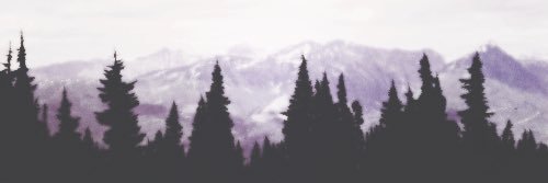 taylormacdd's profile banner image