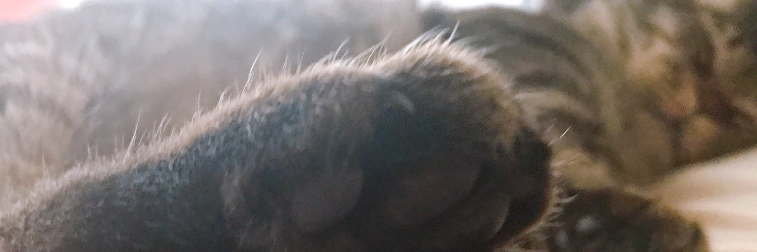 tem_nr's profile banner image