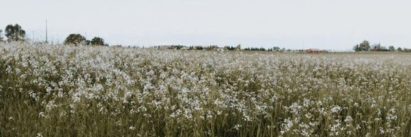 _brookebrown Profile Banner