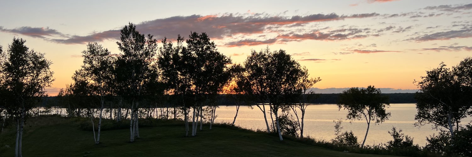 Raymond Holmes, MD banner