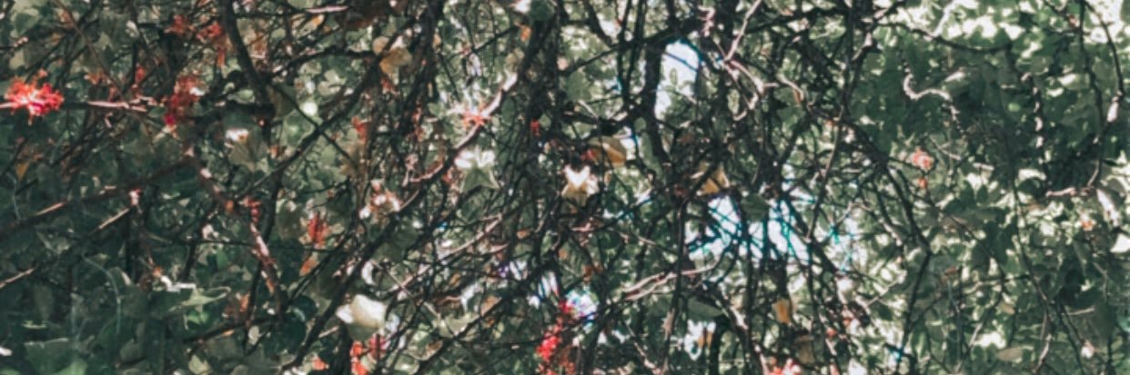 may_rocha_'s profile banner image
