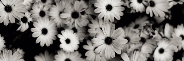 PaulaRealR's profile banner image