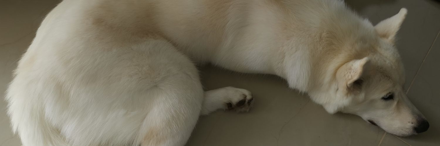 MauricioRendonV's profile banner image
