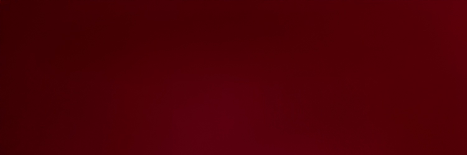 SofieHagen's profile banner image