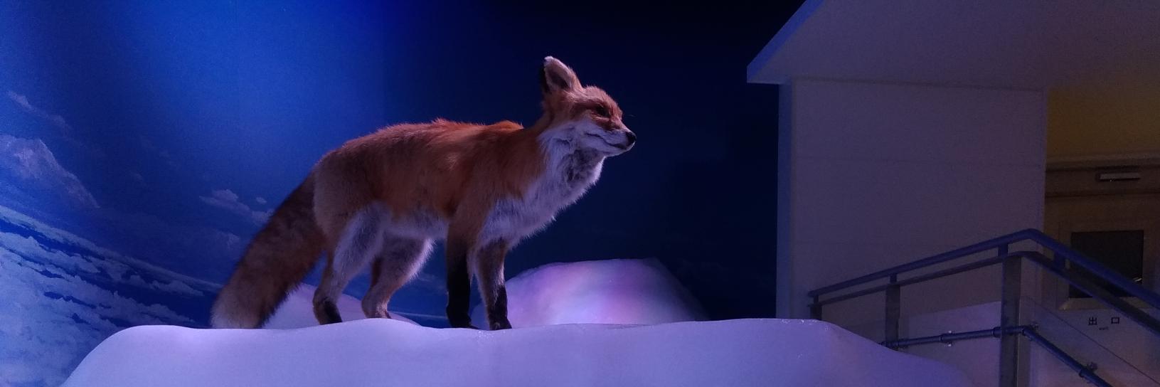 K_Rafka's profile banner image