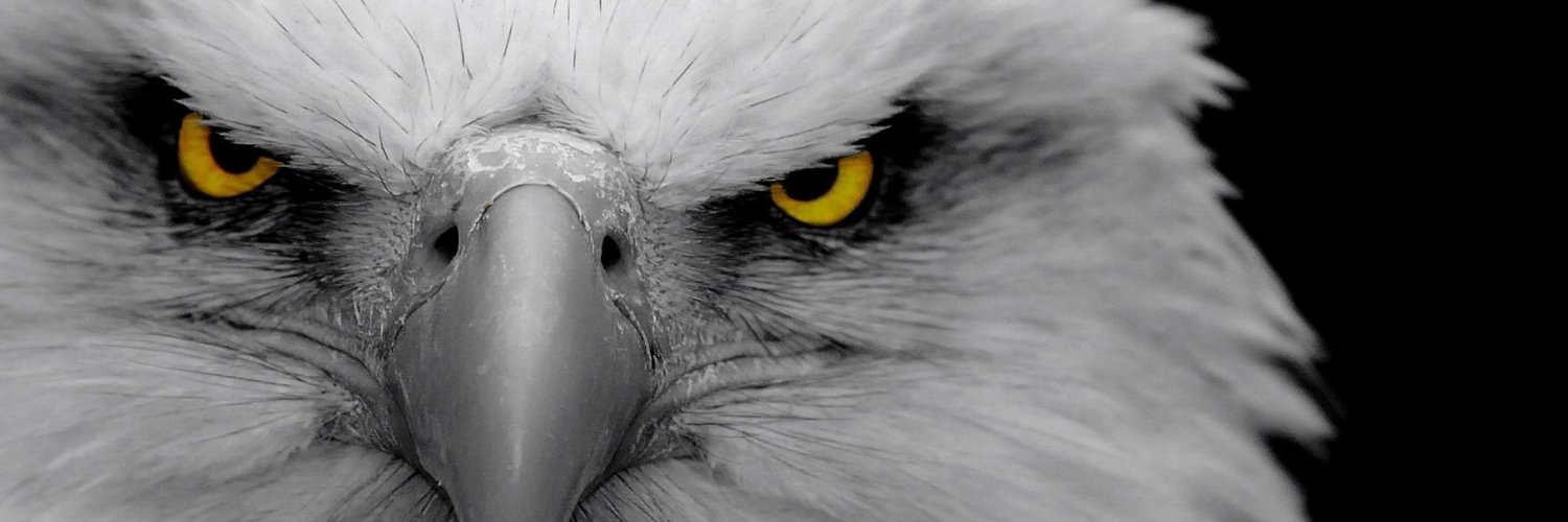 Murali Krishnan banner