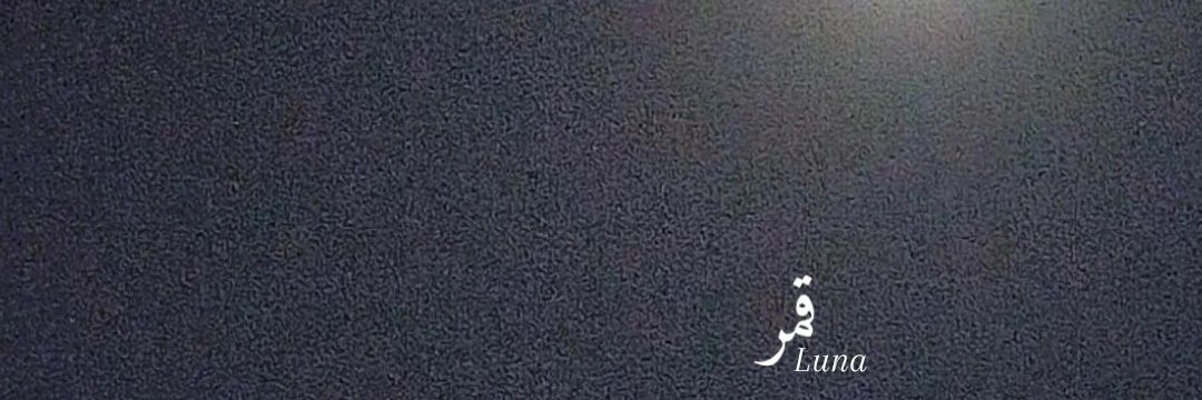 spxrduto's profile banner image