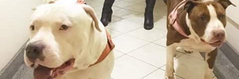 TheoBecker8's profile banner image