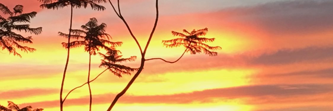 artwrterry's profile banner image