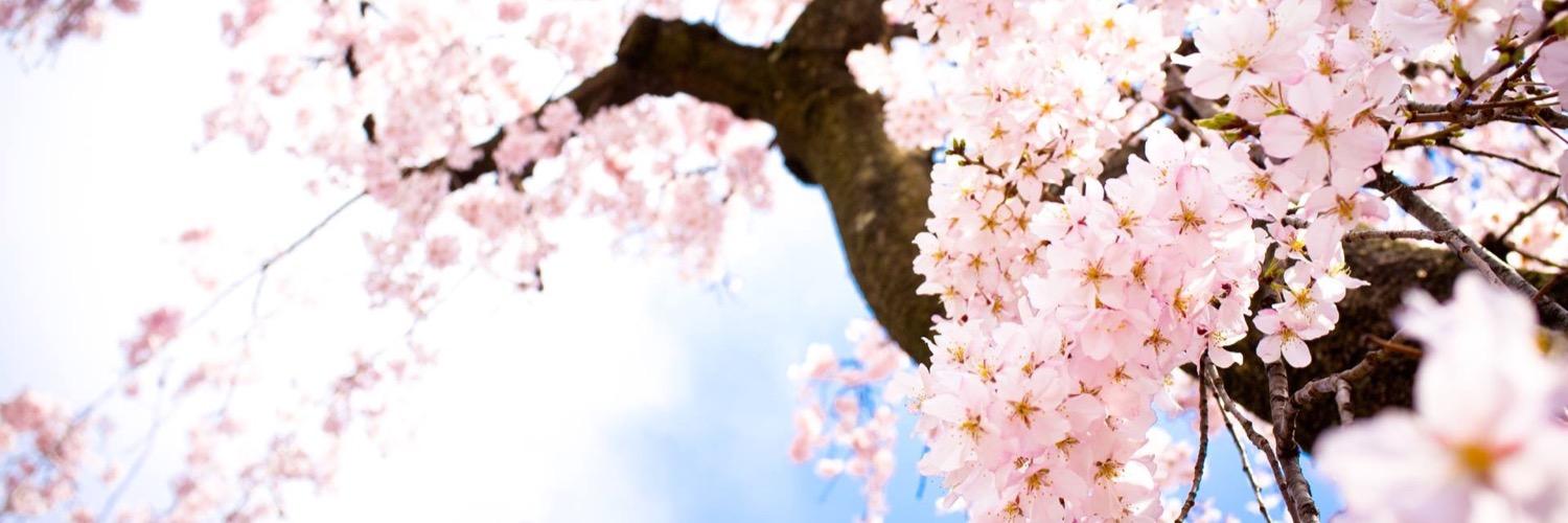 SimranKaur_1D's profile banner image