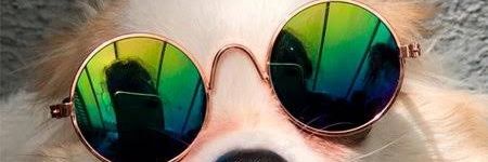 wan_oliveiraa's profile banner image