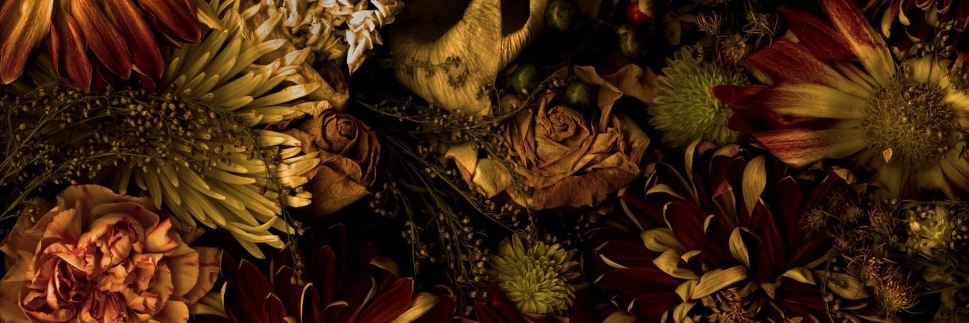 MeaMea13's profile banner image