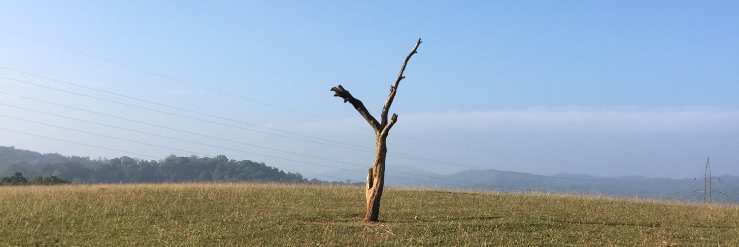 manas_dg's profile banner image