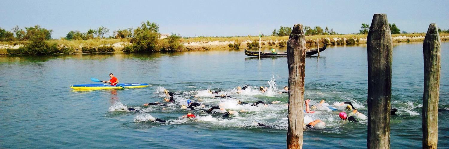 Ligertri Series banner