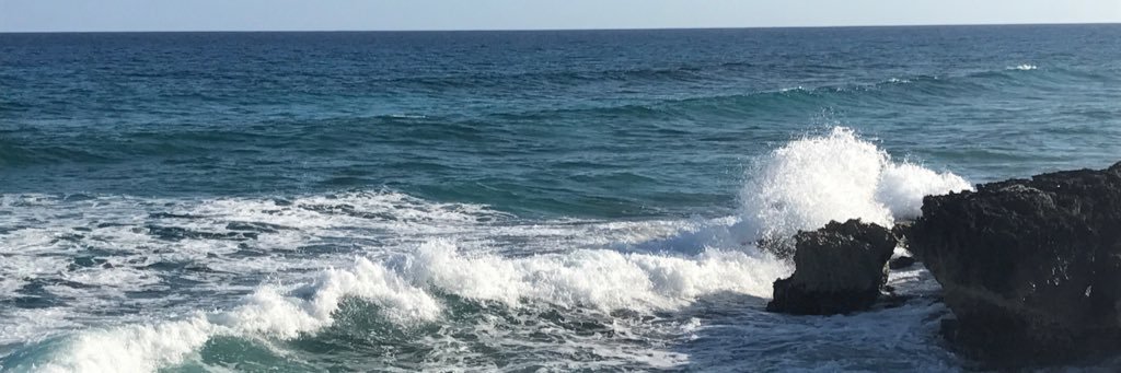 Alexa8862's profile banner image