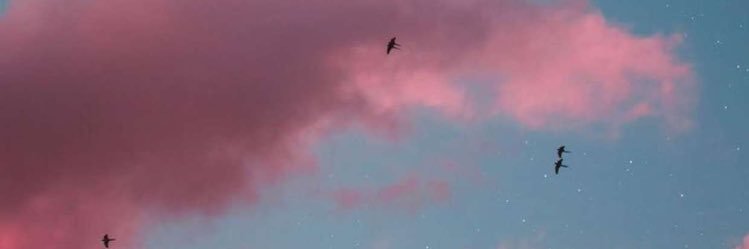 alsmo___'s profile banner image