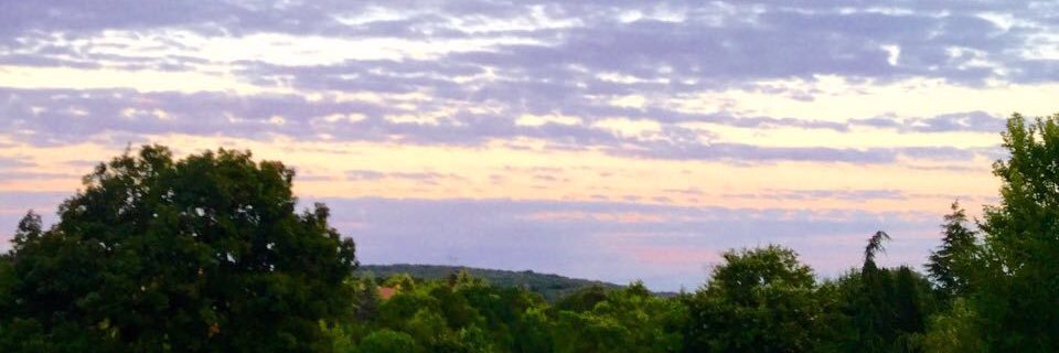 mbuyukerk's profile banner image