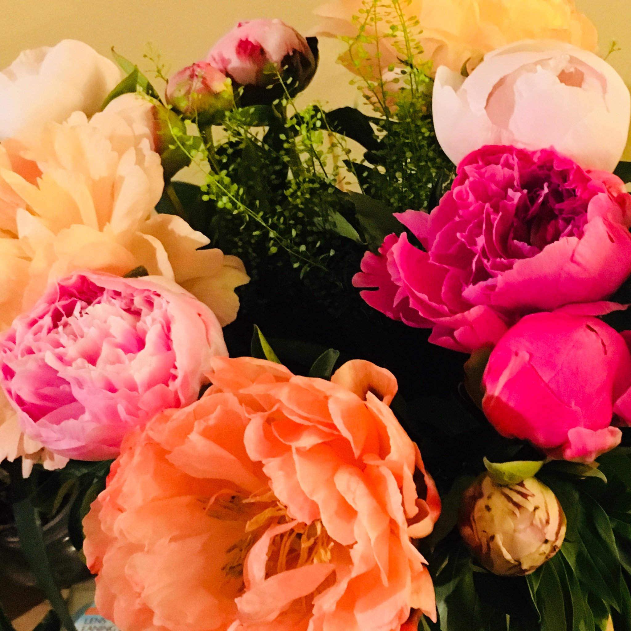 Keely Augustus banner