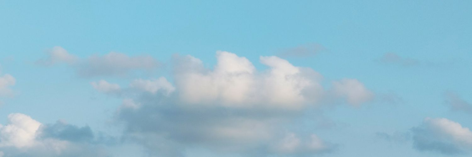 Esther Sánchez banner