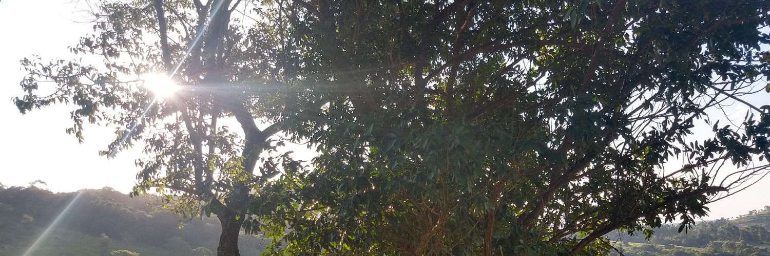 hugofonsecaa's profile banner image