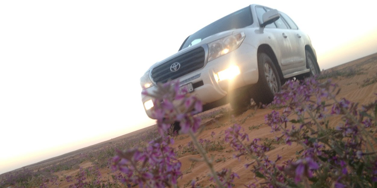 aref611's profile banner image