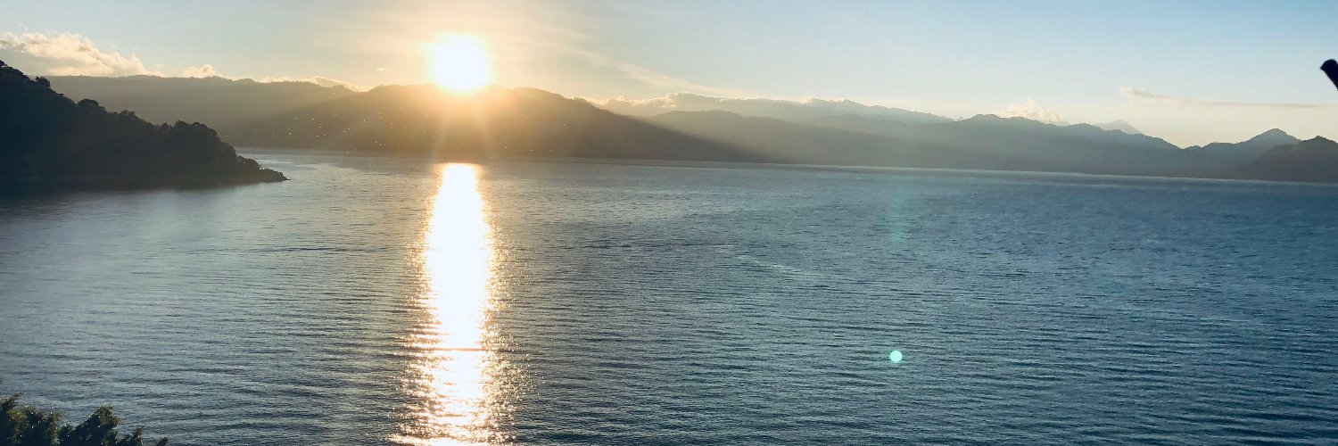 LarryDePalma1's profile banner image