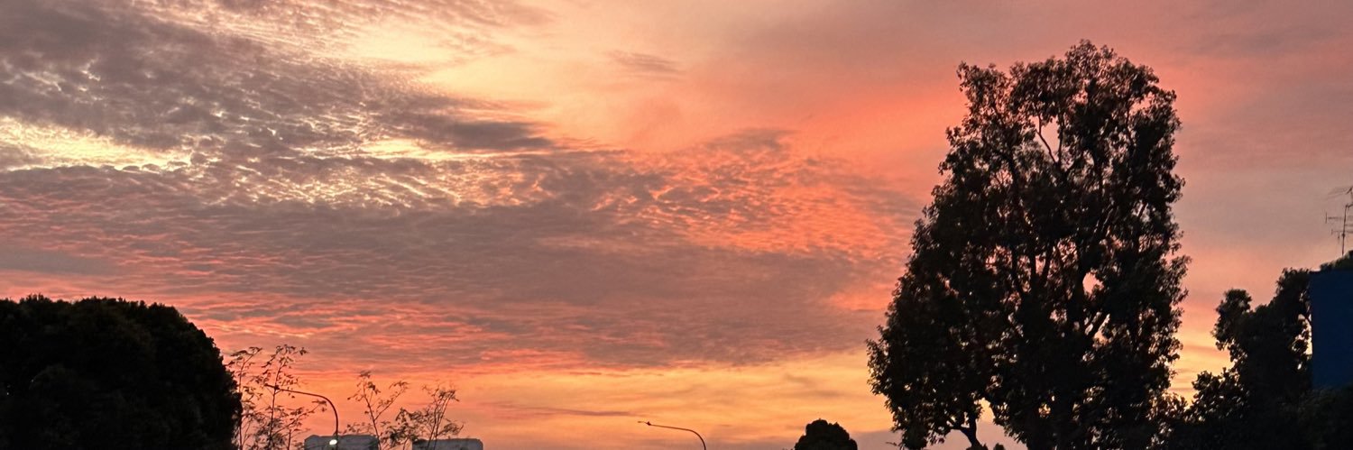 toughflower_'s profile banner image