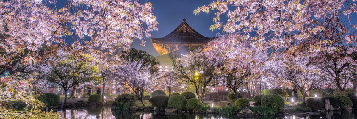 汗☆する税理士 / 所属税理士 banner