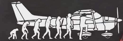 краСивият Кардинал banner