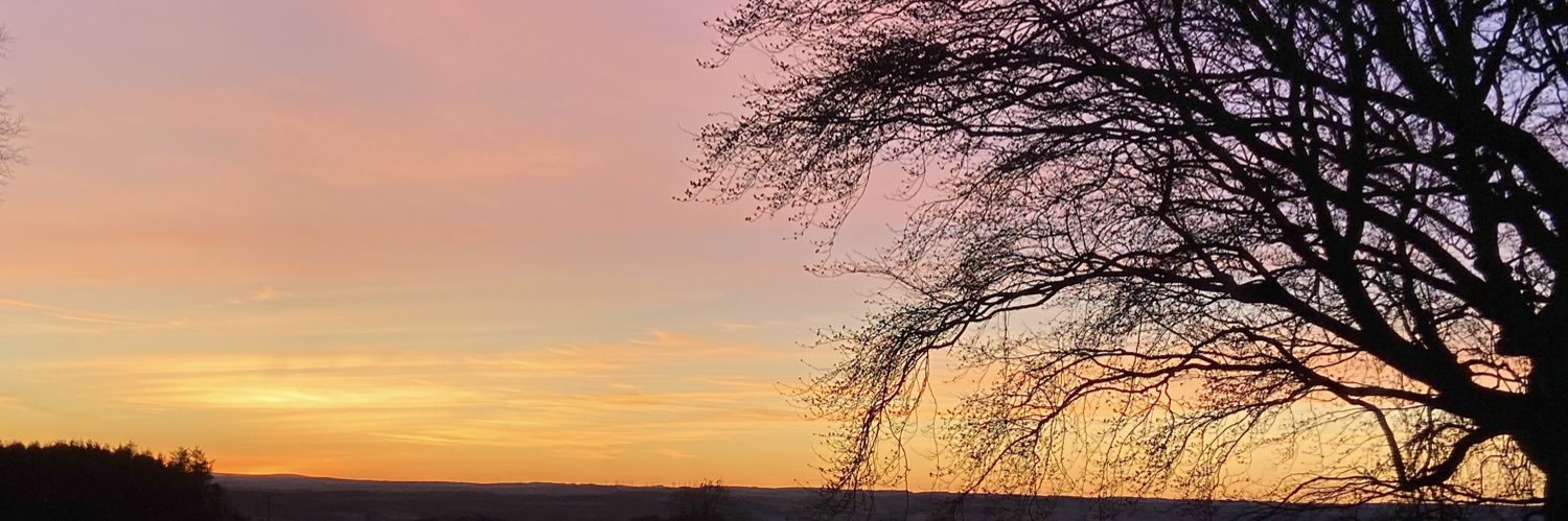 lucybethtaylor1's profile banner image