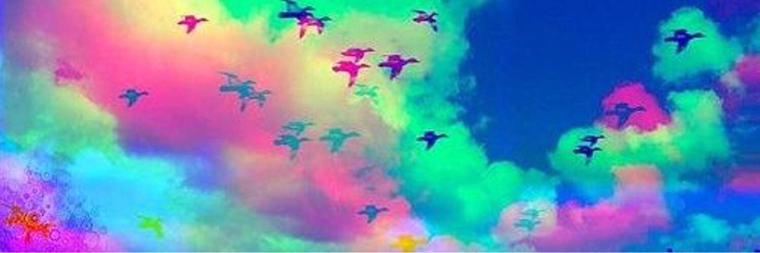 sariwomis's profile banner image