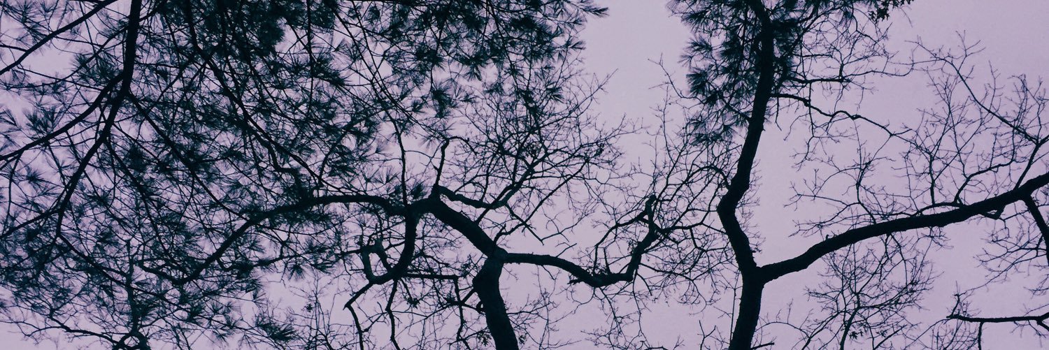 elliieduggan's profile banner image