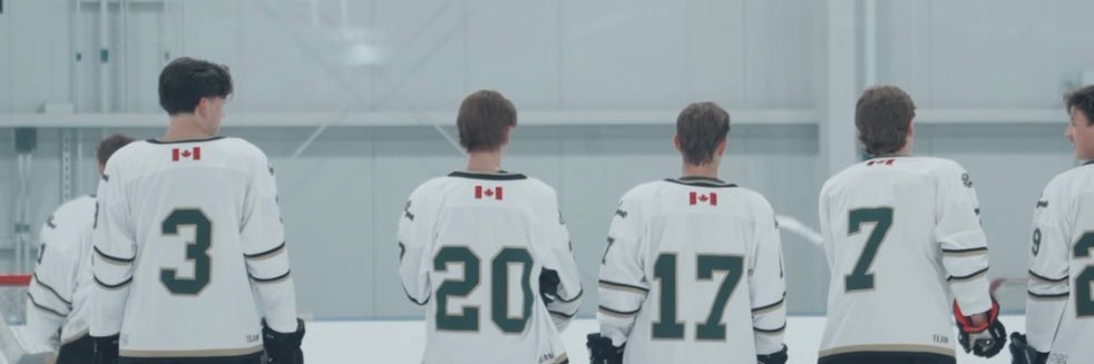 Edmonton Royals banner