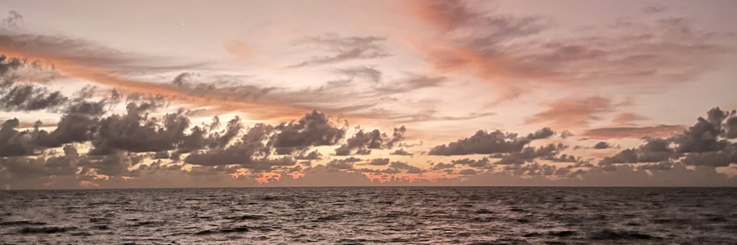 MaxguedeS's profile banner image