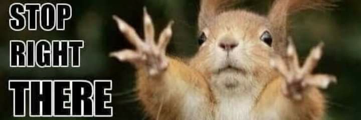 2301nanny's profile banner image