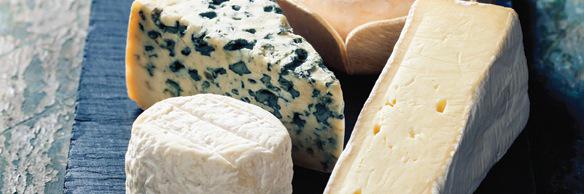 Adam Centamore banner