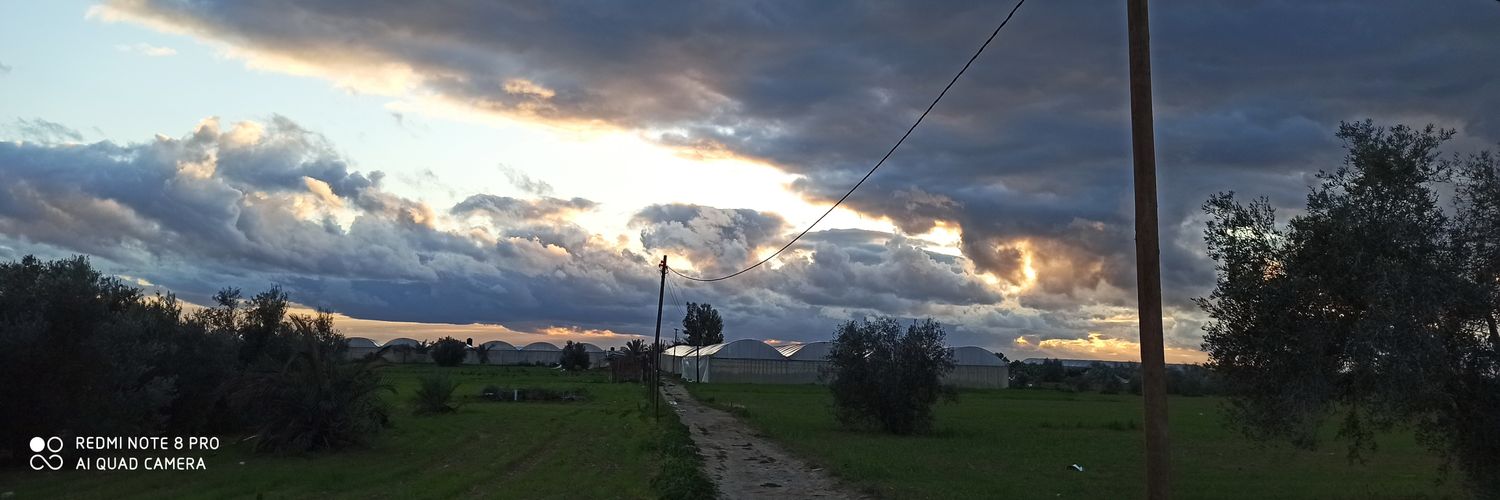 PeryMiller's profile banner image