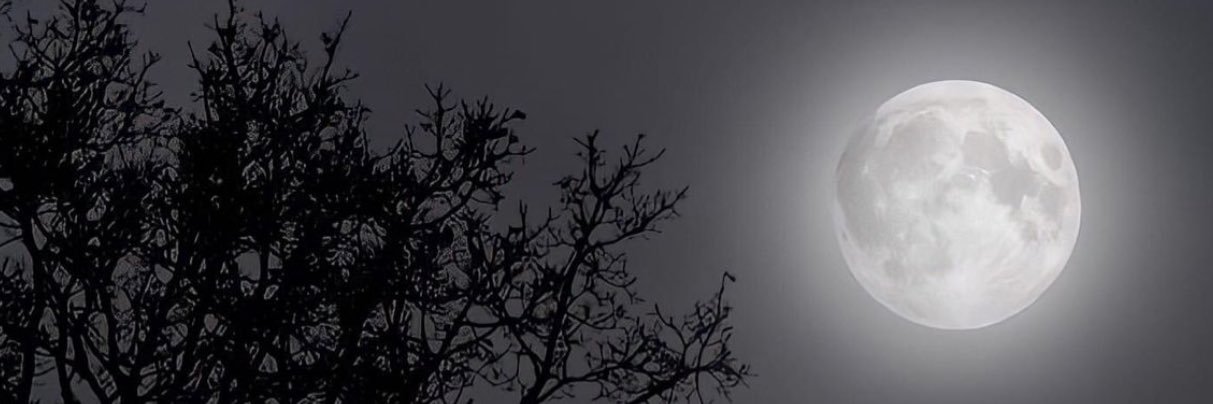 sara_8x's profile banner image