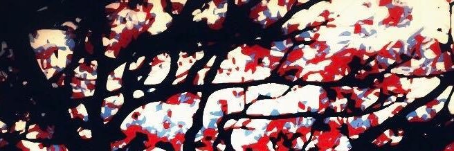 ArinCranley's profile banner image
